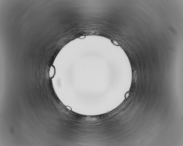 X0000111450570200908241208