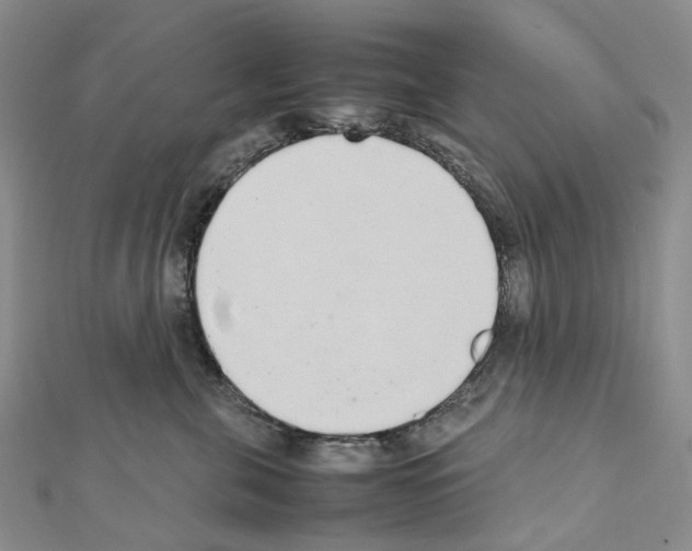 X0000111450571200908241208