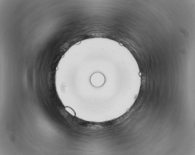X0000111450572200908241208