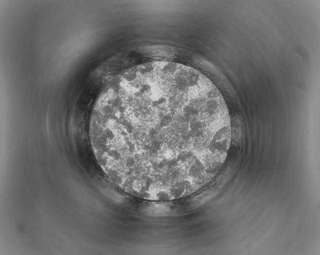 X0000111450573200908241208