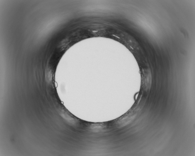 X0000111450574200908241208