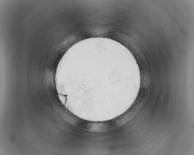 X0000111450575200908241208