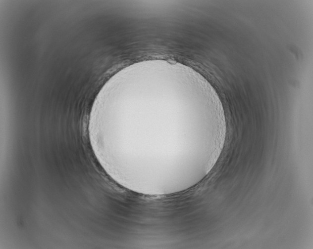 X0000111450576200908241208