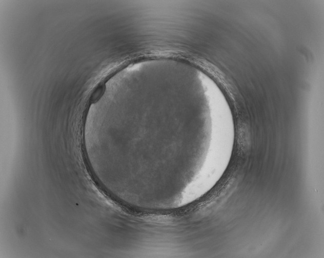 X0000111450577200908241208