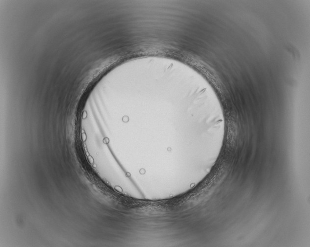X0000111450578200908241208