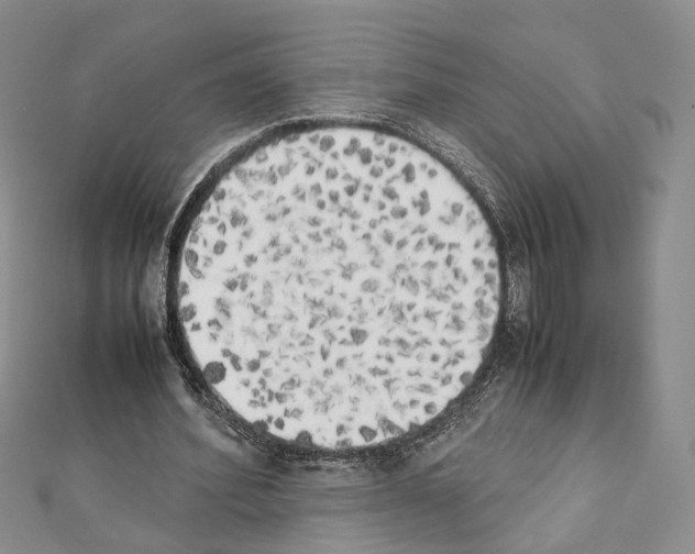 X0000111450580200908241208