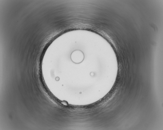 X0000111450581200908241208
