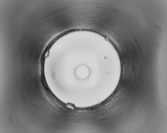 X0000111450584200908241208