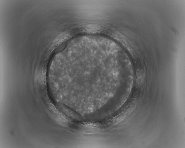 X0000111450585200908241208