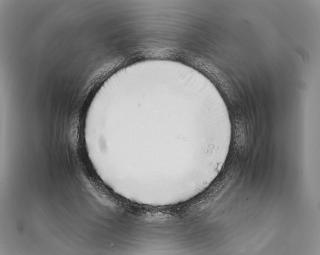 X0000111450586200908241207