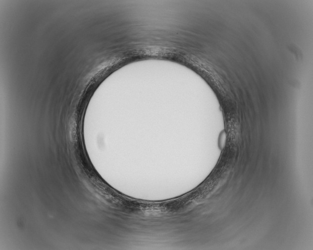 X0000111450587200908241207