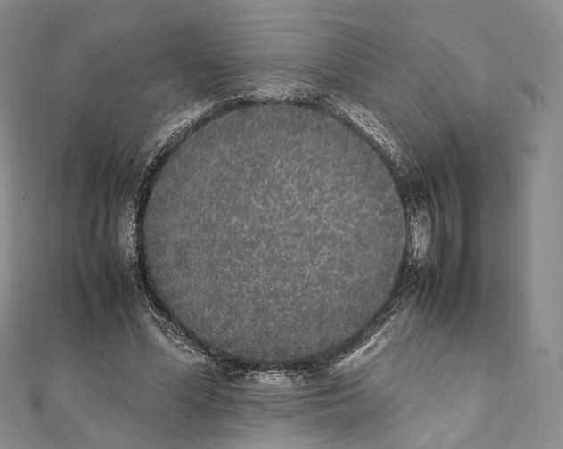 X0000111450588200908241207