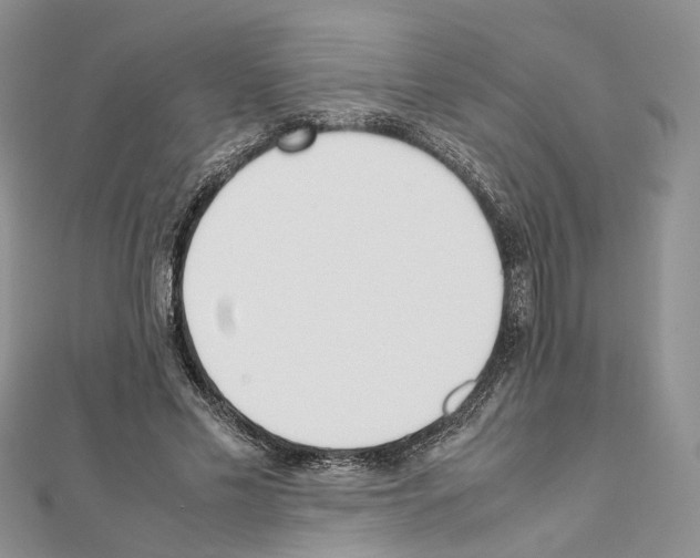 X0000111450589200908241207
