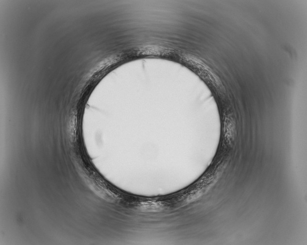X0000111450591200908241207