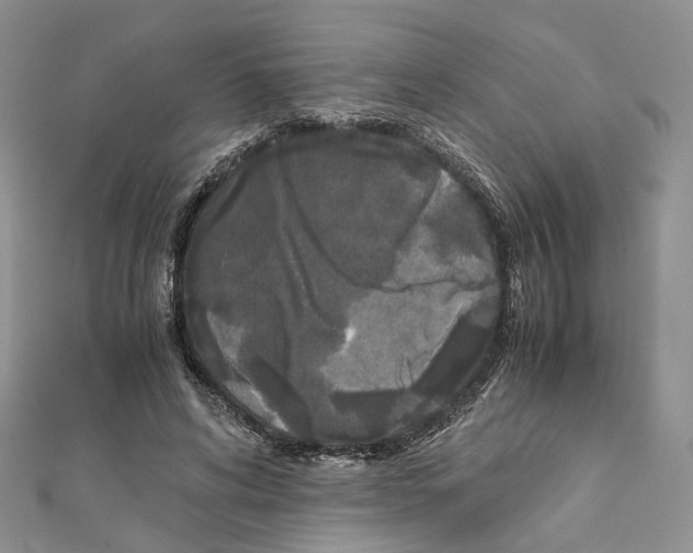 X0000111450592200908241207