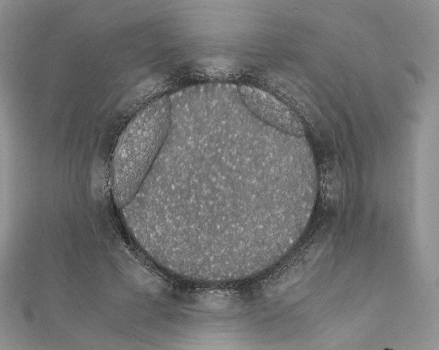 X0000111450593200908241207