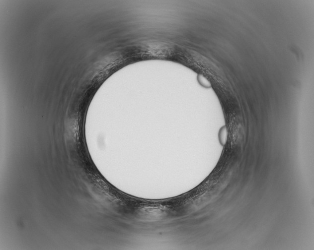 X0000111450595200908241207