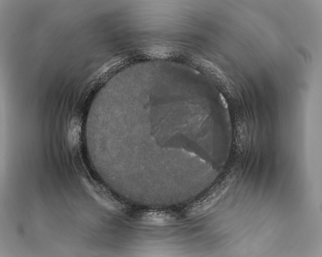 X0000111450596200908241207