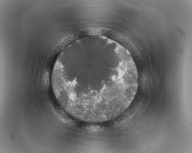 X0000111450598200908241207