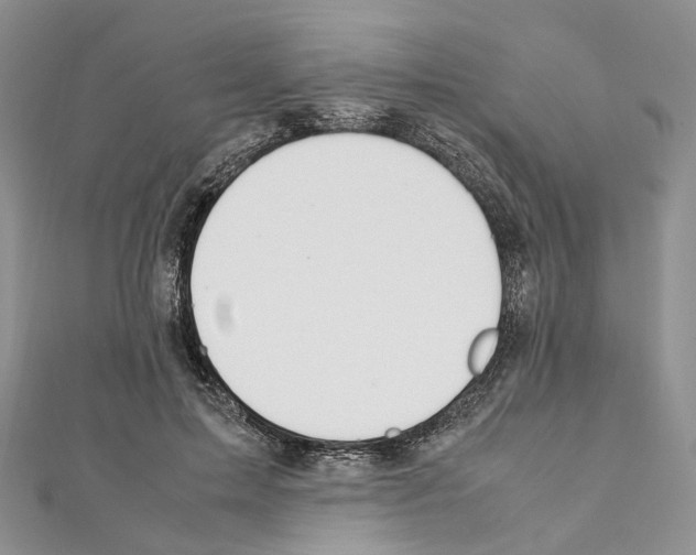 X0000111450599200908241207