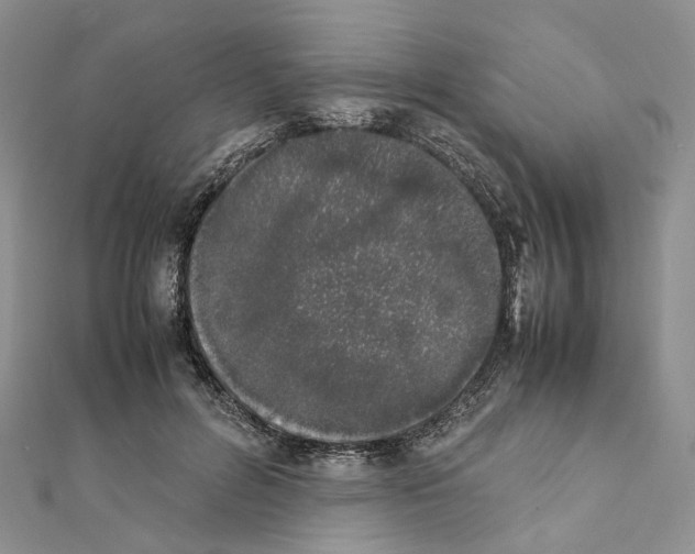 X0000111450600200908241207