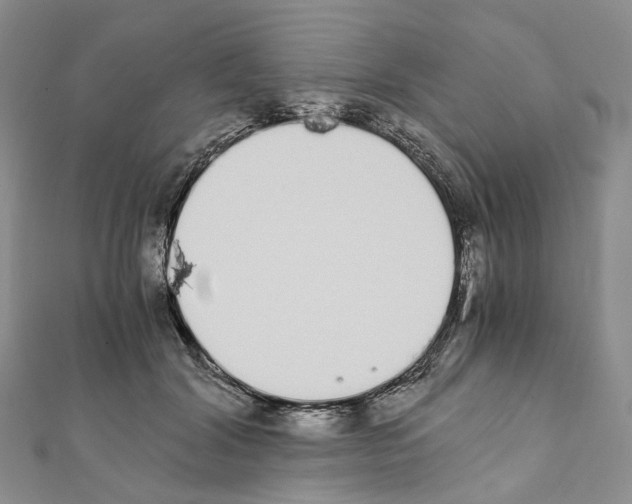 X0000111450604200908241207