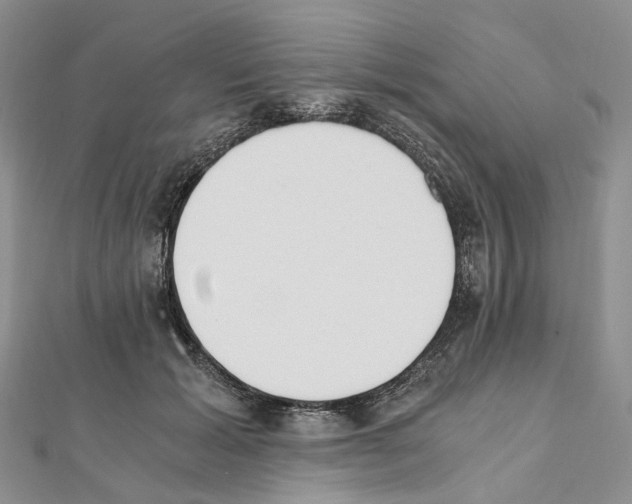 X0000111450605200908241207