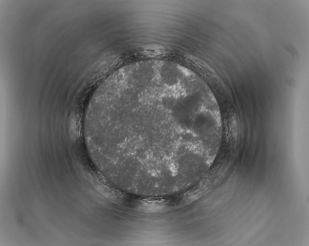 X0000111450606200908241207