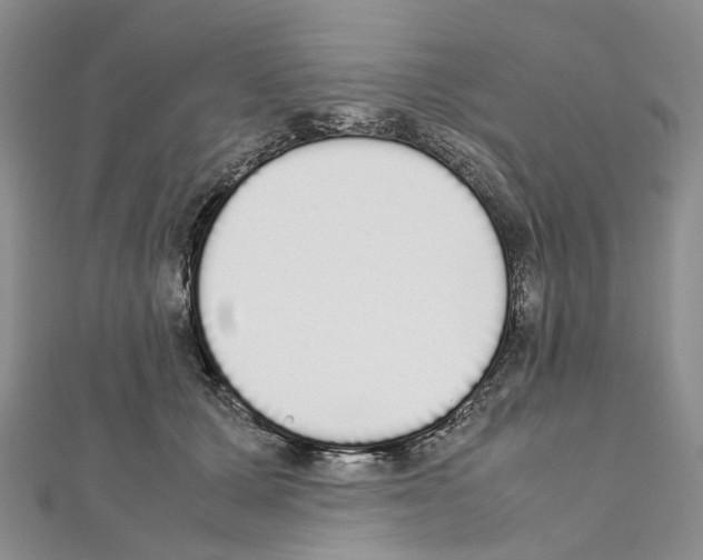 X0000111450607200908241207