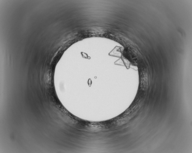 X0000111450608200908241207