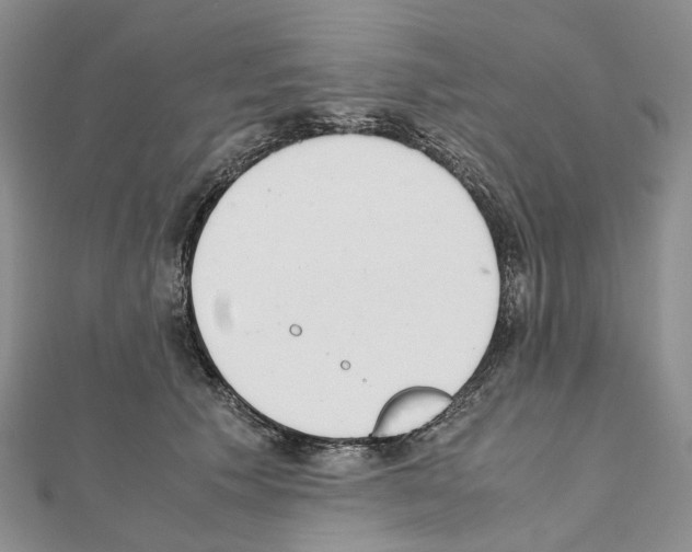X0000111450609200908241207