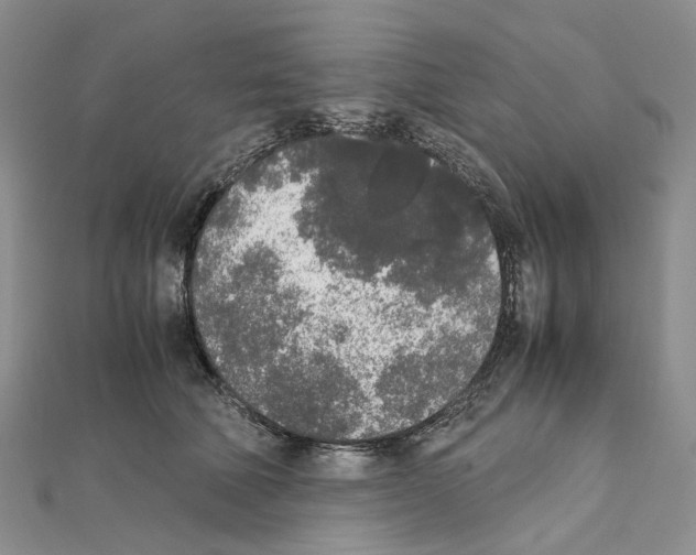 X0000111450610200908241207