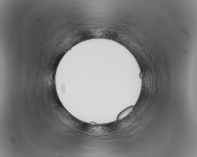 X0000111450611200908241207