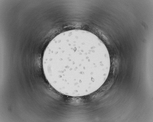 X0000111450612200908241207