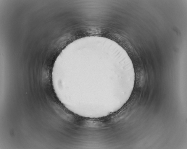 X0000111450614200908241207