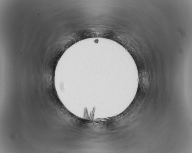 X0000111450615200908241207