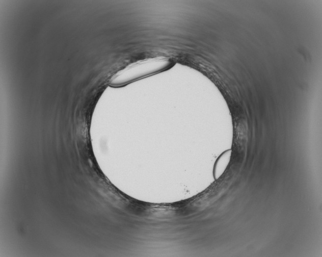 X0000111450617200908241207