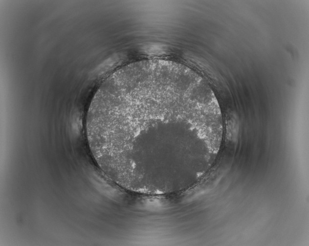 X0000111450618200908241207
