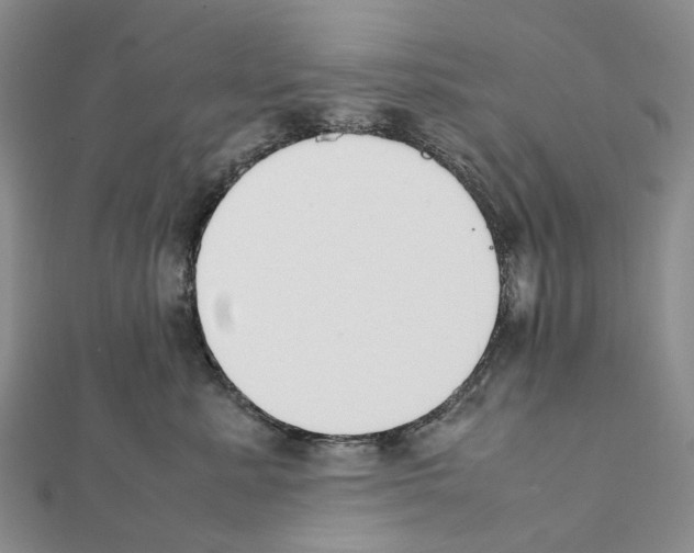 X0000111450619200908241207