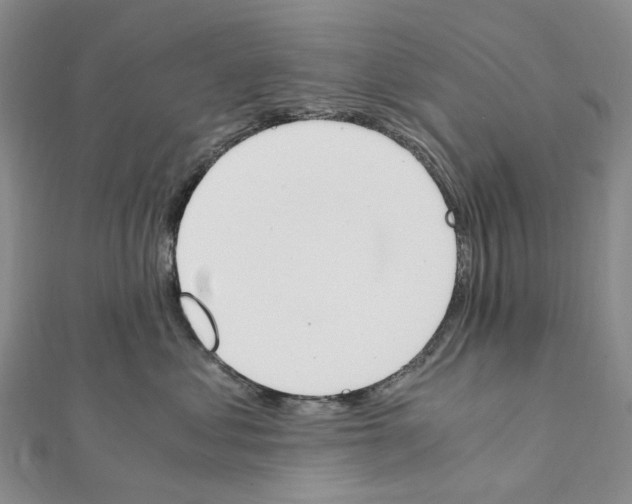 X0000111450621200908241207