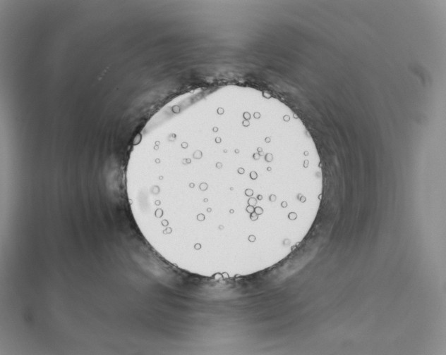 X0000111450624200908241207