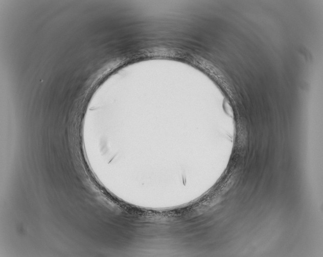 X0000111450625200908241206