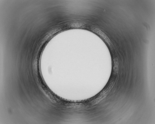 X0000111450626200908241206