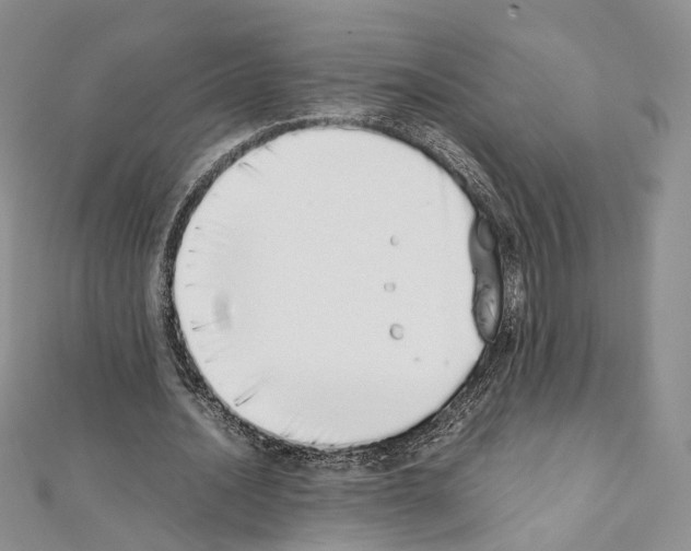 X0000111450628200908241206