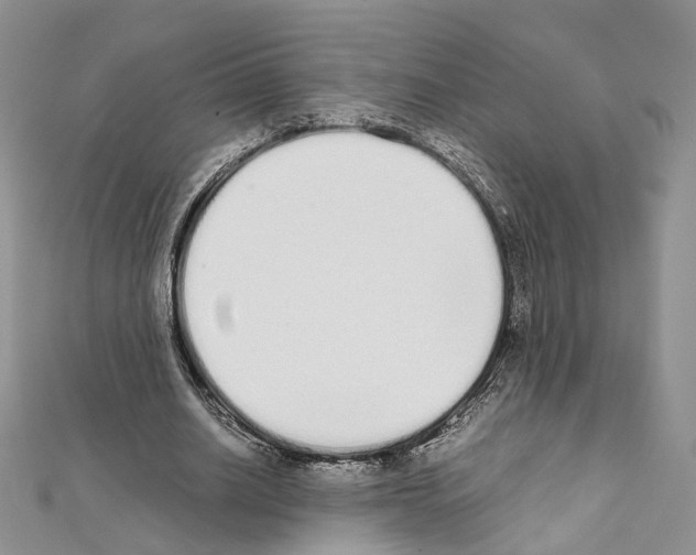 X0000111450630200908241206