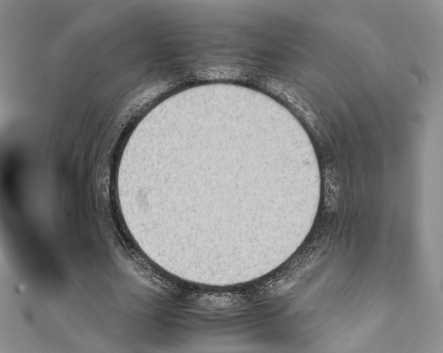 X0000111450631200908241206