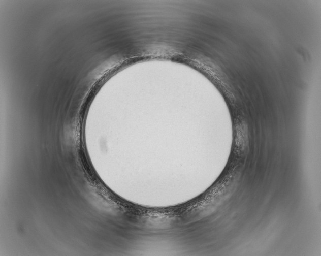 X0000111450632200908241206