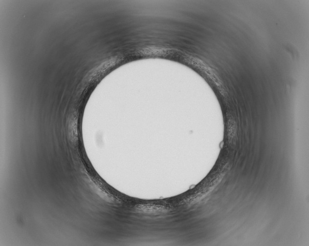 X0000111450633200908241206