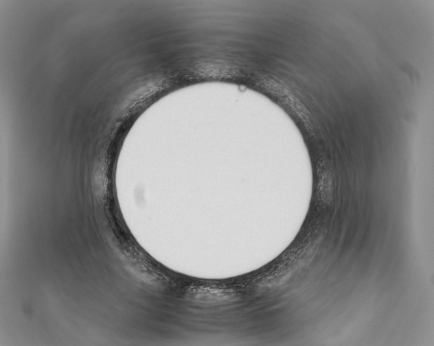 X0000111450635200908241206