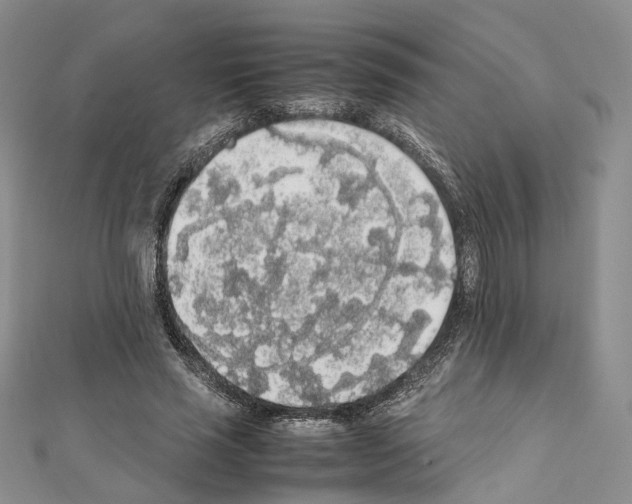 X0000111450637200908241206